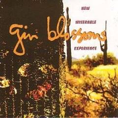 Gin Blossoms : New Miserable Experience